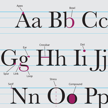 Typography Poster